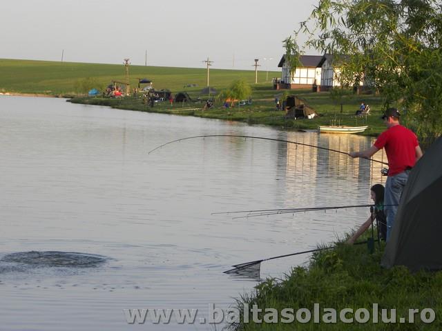 Party Cup Solacolu 2012 - DSCN8355.jpg